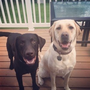 Meet your Posher, Bethany